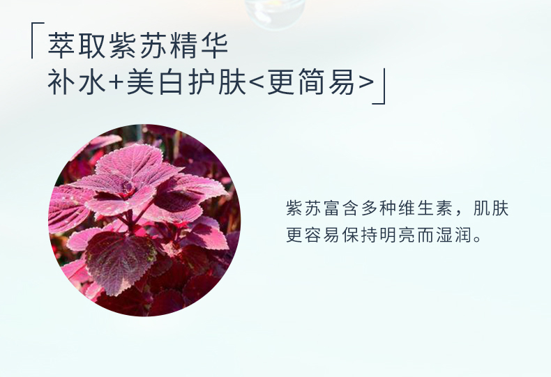 蒙度士 男士美白二合一精華液