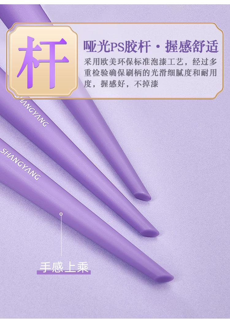 尚洋美妝工具鳶尾系列12支裝化妝刷