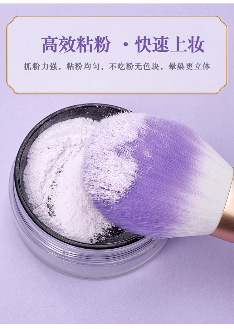 尚洋美妝工具鳶尾系列12支裝化妝刷