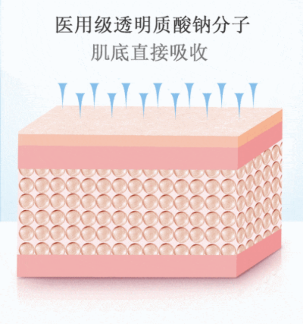 微信圖片_20240830171757.png