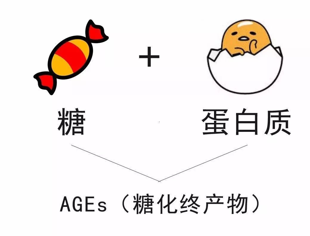 抗糖化=不吃糖嗎？美容原料中肌肽是如何抗糖的？